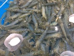 -王四营海鲜市场
