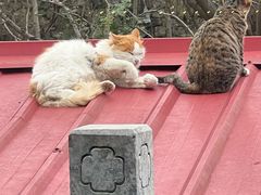 -韵之源农家菜(北京1店)