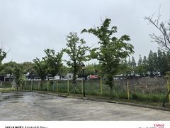 -长兴对江渡客运站