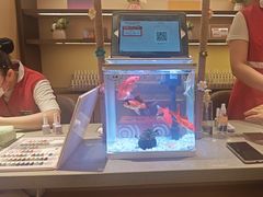 -海底捞火锅(武胜路凯德广场店)