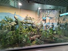 -山东省科技馆(新馆)