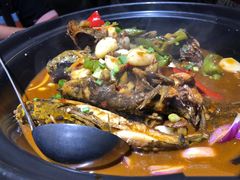 红烧黄骨鱼-一品味庄·地标武昌鱼·藕汤湖北菜(黄鹤楼店)