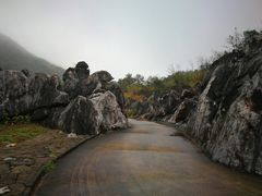 -千岛湖石林