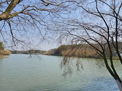 -沙家浜风景区