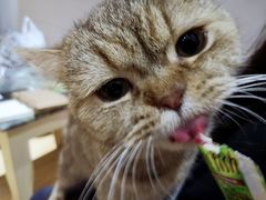 -万小咖.猫咖(中山路天虹店)