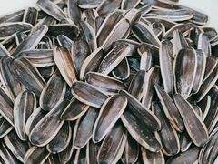 -金三可市井水煮鱼(金碧园店)