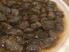 -温州华侨饭店(信河街店)