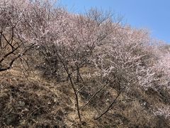 -妙峰山风景名胜区