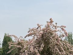 -圣露庄园·露营·烤肉·亲子