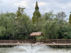 -溱湖国家湿地公园