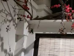 -春天来了(印象新天地店)