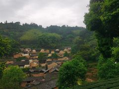 -杨家堂村
