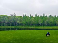 -养云安缦吧THE BAR