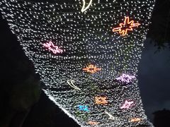 -横店影视城梦幻谷园区