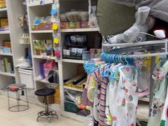 -米苏动物医院·犬猫专科·骨科外科内窥镜