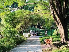 -东莞植物园
