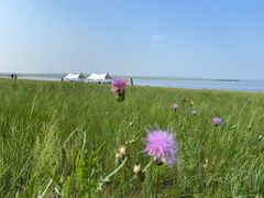 -呼和诺尔旅游景区