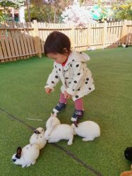 -萌宠亲子动物乐园(槐房万达店)