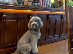 -沏点Trattoria意大利餐厅(新街口店)