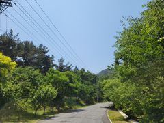 -金龙寺国家森林公园
