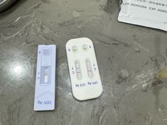 -四月宠物医院·猫专科·心脏专科·内科(转塘店)