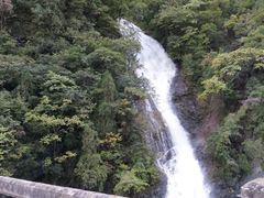 -黑河国家森林公园