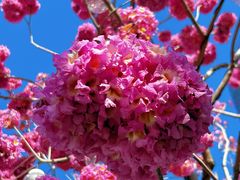 -深圳湾万象城(南山店)