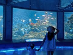 -海合安武汉极地海洋公园