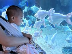 -成都浩海立方海洋公园