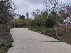 -秀丽东方