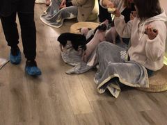 -浣熊柯尔鸭土拨鼠·电玩咖