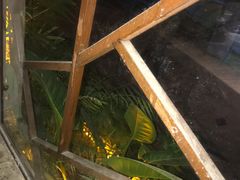 -探窝·竹笙椰子鸡(杨箕店)