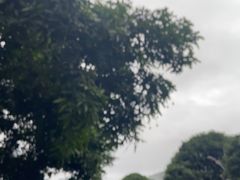 -阿荣24H宠物医院·综合型转诊中心·CT·核磁影像中心