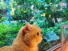 -咖法森林·咖啡  酒吧(天河店)