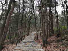 -南京市无想山景区