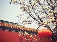 -东华门大街小区