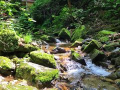 -本溪汤沟绿石谷森林公园