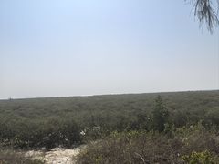 -北海金海湾红树林生态旅游区