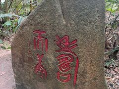 -呀诺达热带雨林