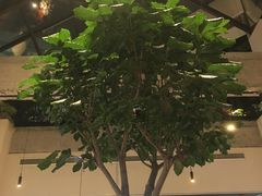 -大树餐厅(红旗街万达店)