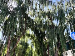 -张掖大佛寺景区