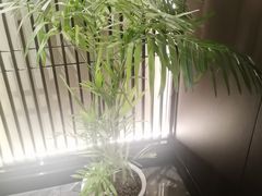 -聚宾楼·烤鸭·家宴(科技三路店)