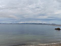 -杨梅坑