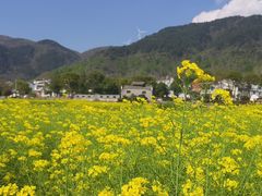 -武汉姚家山旅游景区