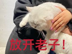 -浣熊柯尔鸭土拨鼠·电玩咖