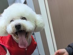 -派特宠物医院(圆融广场店)