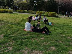 -蜀冈西峰生态公园