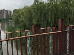-南翔镇银翔湖公园