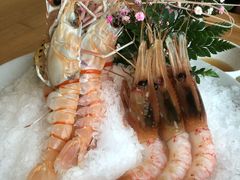 -王鼎精致料理铁板烧(世博源店)