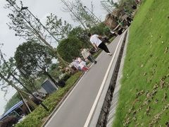 -枫香湖儿童公园